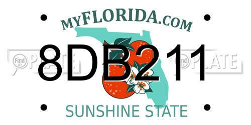 8DB211 Florida License Plate