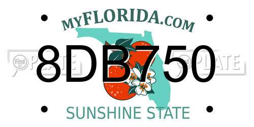 8DB750 Florida License Plate