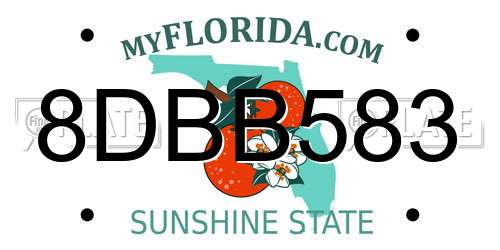 8DBB583 Florida License Plate