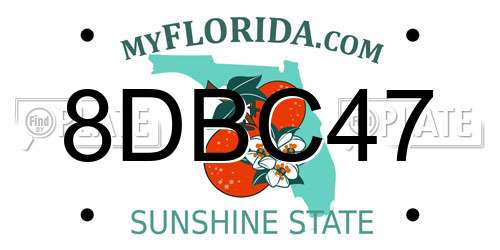 8DBC47 Florida License Plate