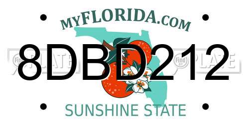 8DBD212 Florida License Plate