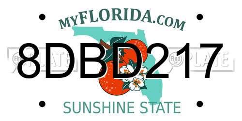 8DBD217 Florida License Plate
