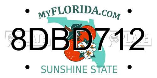 8DBD712 Florida License Plate