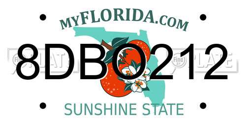 8DBO212 Florida License Plate