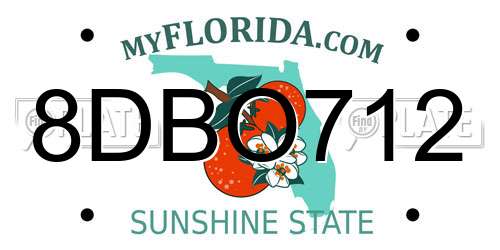 8DBO712 Florida License Plate