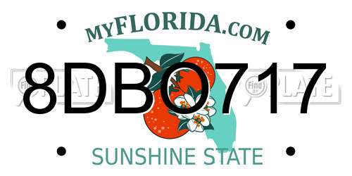 8DBO717 Florida License Plate
