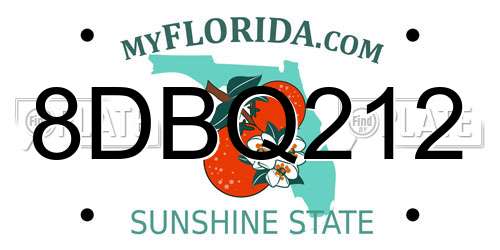8DBQ212 Florida License Plate