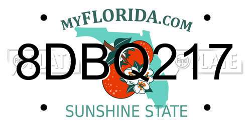8DBQ217 Florida License Plate