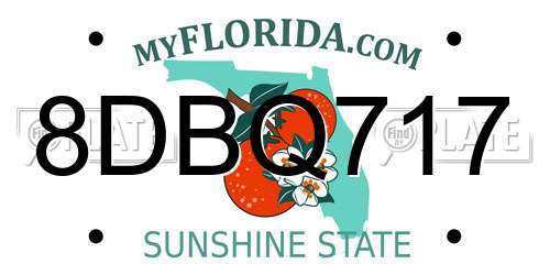 8DBQ717 Florida License Plate