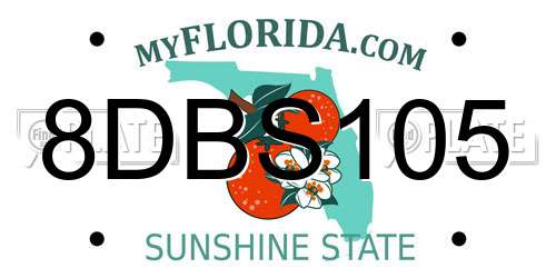 8DBS105 Florida License Plate