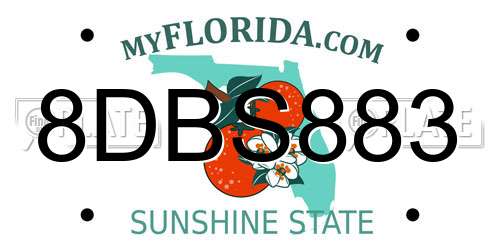 8DBS883 Florida License Plate