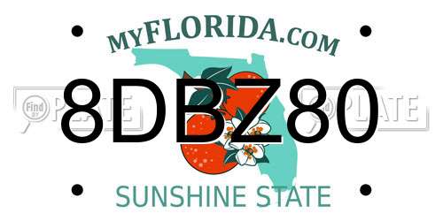 8DBZ80 Florida License Plate