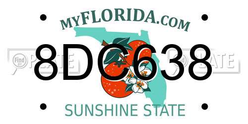8DC638 Florida License Plate