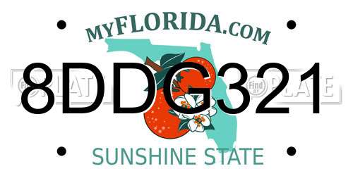 8DDG321 Florida License Plate
