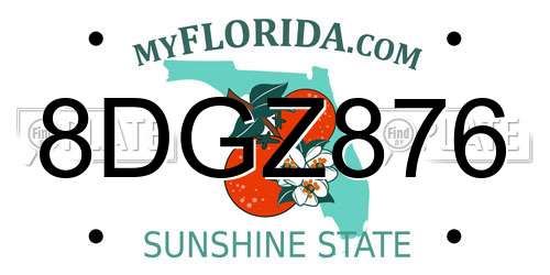 8DGZ876 Florida License Plate