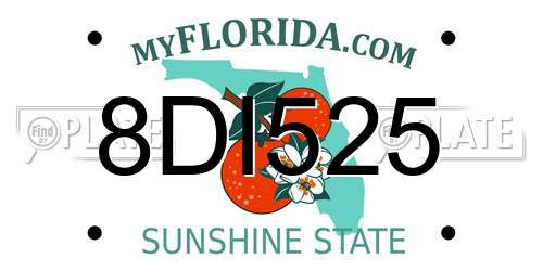 8DI525 Florida License Plate