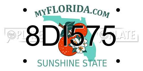 8DI575 Florida License Plate