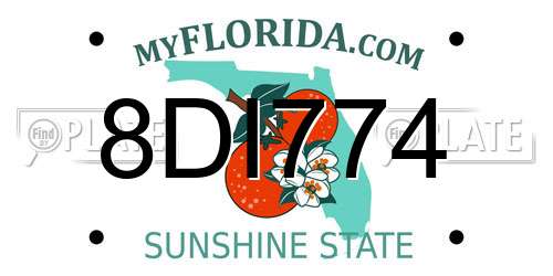 8DI774 Florida License Plate