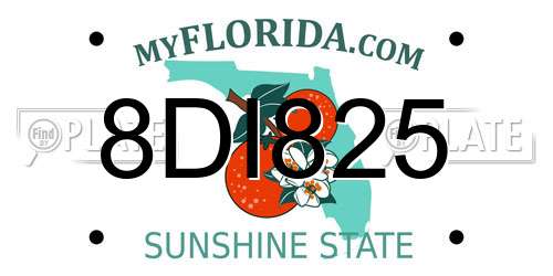 8DI825 Florida License Plate