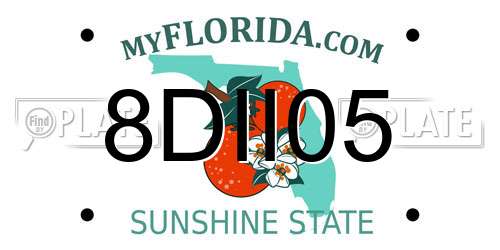 8DII05 Florida License Plate