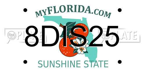 8DIS25 Florida License Plate