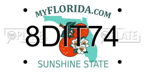 8DIT74 Florida License Plate