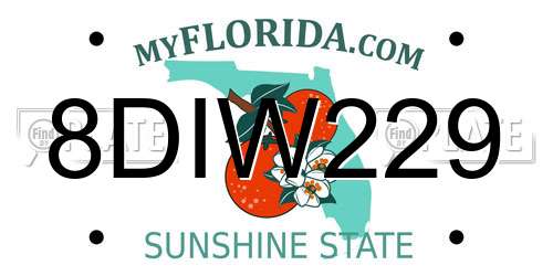 8DIW229 Florida License Plate