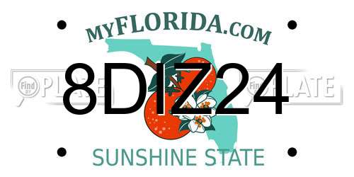 8DIZ24 Florida License Plate