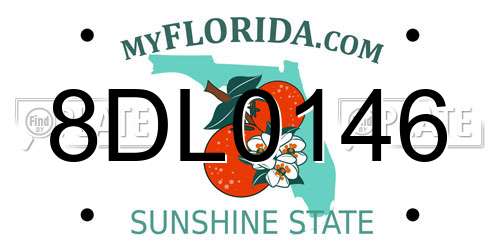 8DL0146 Florida License Plate