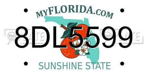 8DL5599 Florida License Plate