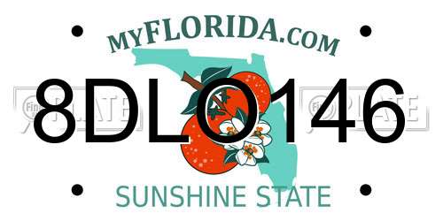 8DLO146 Florida License Plate