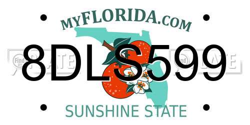 8DLS599 Florida License Plate