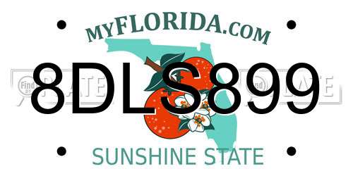 8DLS899 Florida License Plate
