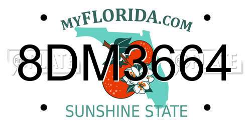 8DM3664 Florida License Plate