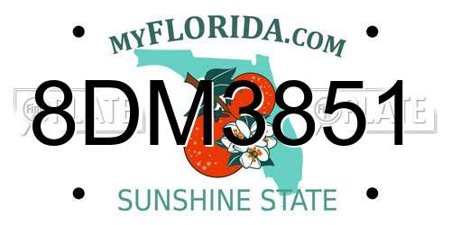 8DM3851 Florida License Plate