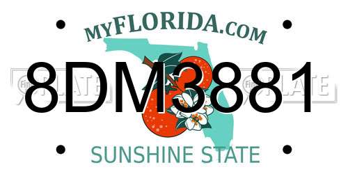 8DM3881 Florida License Plate