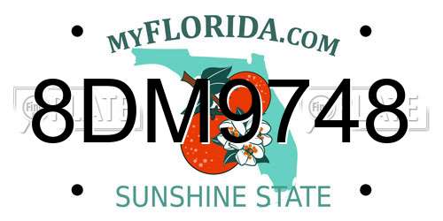 8DM9748 Florida License Plate