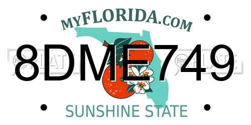 8DME749 Florida License Plate