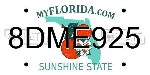 8DME925 Florida License Plate