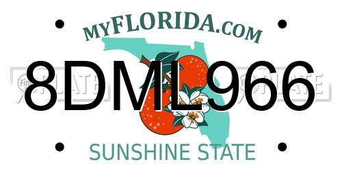 8DML966 Florida License Plate