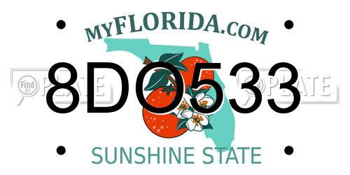 8DO533 Florida License Plate