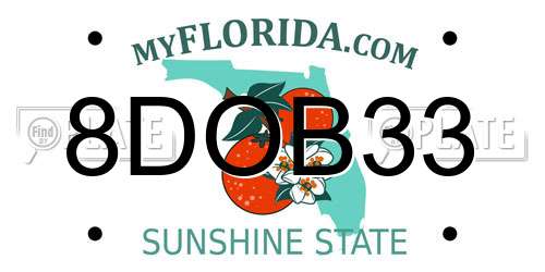 8DOB33 Florida License Plate