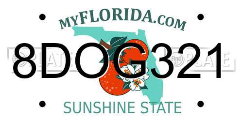 8DOG321 Florida License Plate