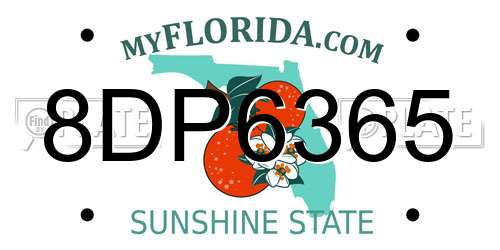 8DP6365 Florida License Plate