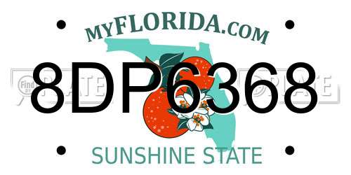 8DP6368 Florida License Plate