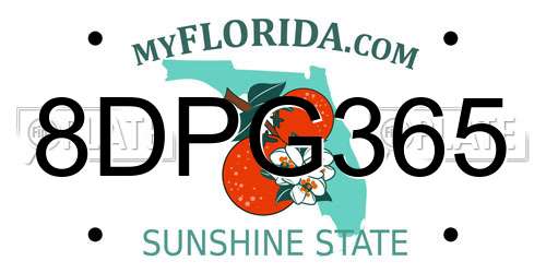 8DPG365 Florida License Plate