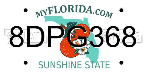 8DPG368 Florida License Plate