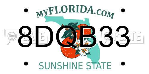8DQB33 Florida License Plate