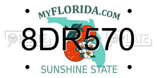 8DR570 Florida License Plate