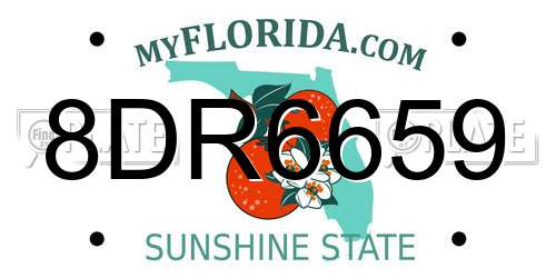 8DR6659 Florida License Plate